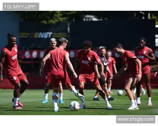 欧锦赛2016精彩对决西班牙与土耳其的激烈较量回顾与分析