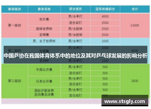 中国乒协在我国体育体系中的地位及其对乒乓球发展的影响分析