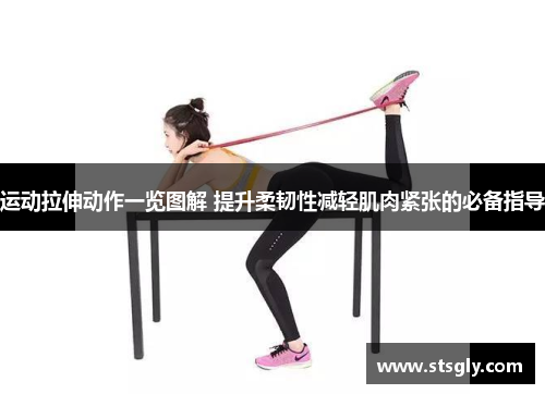 运动拉伸动作一览图解 提升柔韧性减轻肌肉紧张的必备指导