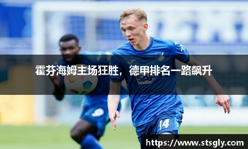 霍芬海姆主场狂胜，德甲排名一路飙升